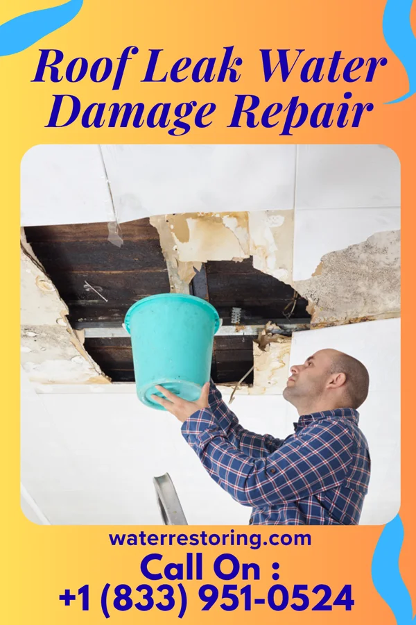 Roof Leak Water Damage Repair in Roscoe, MO
